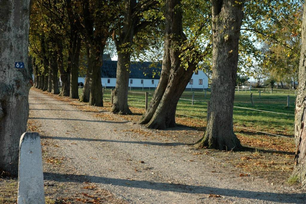 Bed And Breakfast Alokke Nyborg Quarto foto