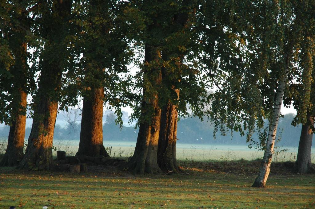 Bed And Breakfast Alokke Nyborg Quarto foto